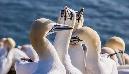 九游体育网站入口-广东日之泉主场迎战济南鲁能，双方都渴望胜利的到来！，广州日之泉有限公司