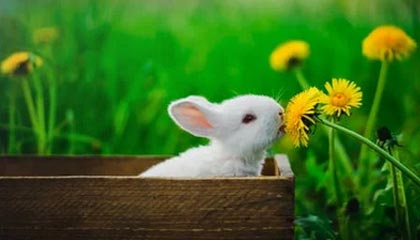 九游体育网站入口-广东日之泉主场迎战济南鲁能，双方都渴望胜利的到来！，广州日之泉有限公司