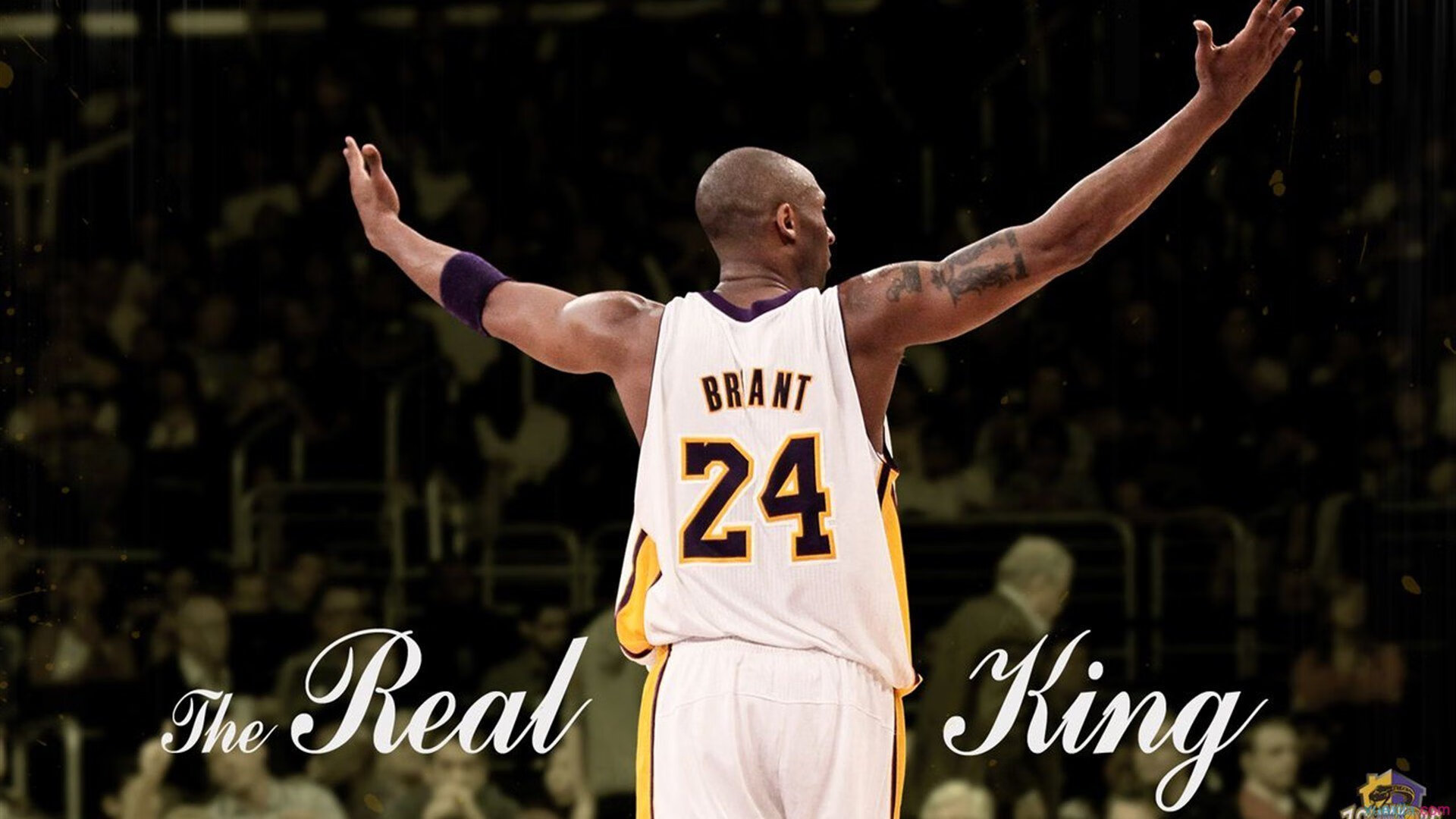 【冠军成长】马克·塞尔比：从挫折到荣耀的坚韧精神，马克塞尔比的人生经历